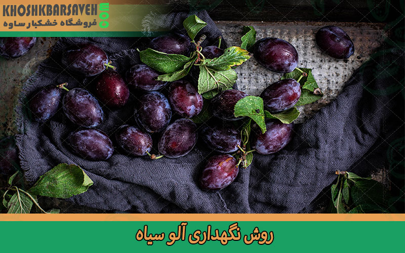 روش نگهداری آلو سیاه 