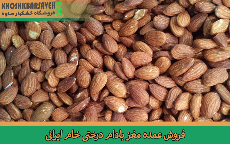 فروش عمده مغز بادام درختی خام ایرانی